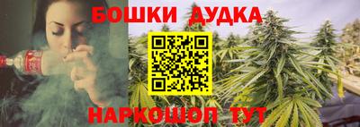 МДПВ Новокубанск