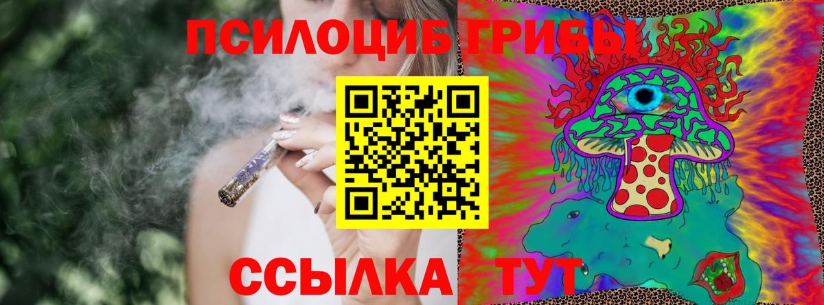 что такое   Псилоцибиновые грибы прущие грибы  Вход с VPN  Тимашёвск  Псилоцибиновые грибы Cubensis 